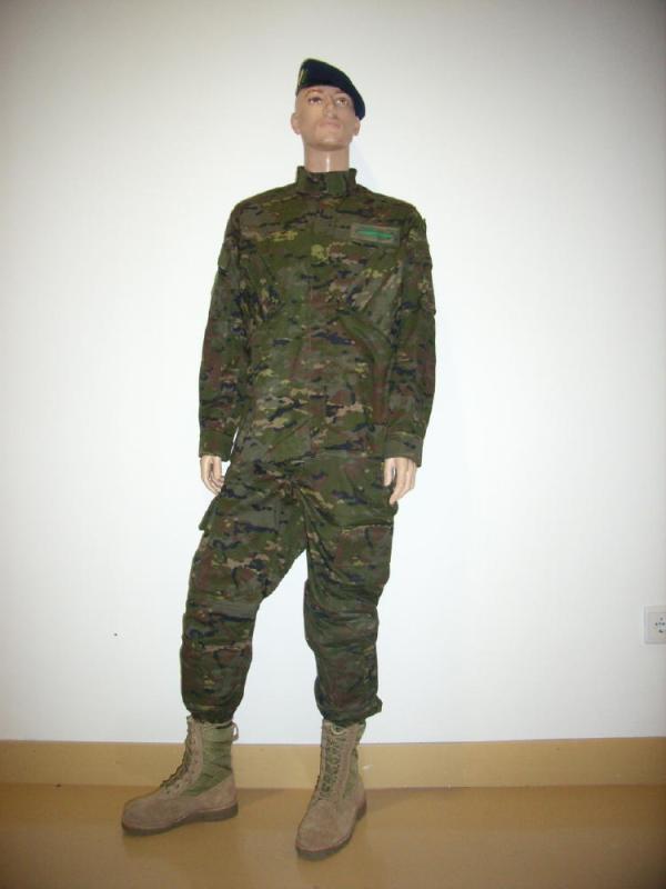 21st Century Camo Uniforms – the rest of the world 200951161151_spain1